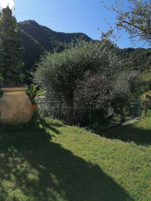 Villa Casa Andreina à Salto Chiesa Extérieur photo